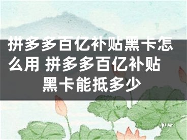 拼多多百億補(bǔ)貼黑卡怎么用 拼多多百億補(bǔ)貼黑卡能抵多少