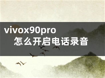 vivox90pro怎么開(kāi)啟電話(huà)錄音