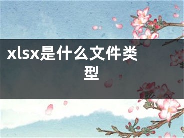 xlsx是什么文件類型