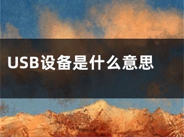 USB設(shè)備是什么意思