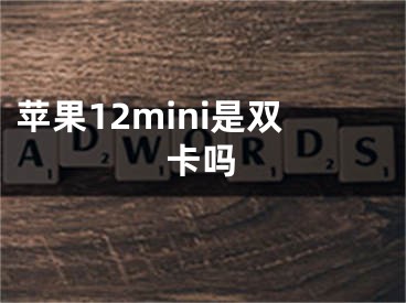 蘋果12mini是雙卡嗎