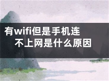 有wifi但是手機連不上網(wǎng)是什么原因