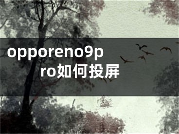 opporeno9pro如何投屏