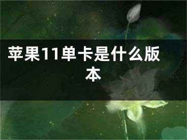 蘋果11單卡是什么版本