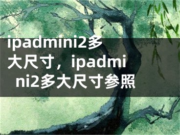 ipadmini2多大尺寸，ipadmini2多大尺寸參照