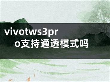 vivotws3pro支持通透模式嗎