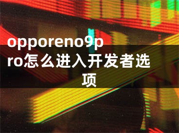 opporeno9pro怎么進(jìn)入開(kāi)發(fā)者選項(xiàng)