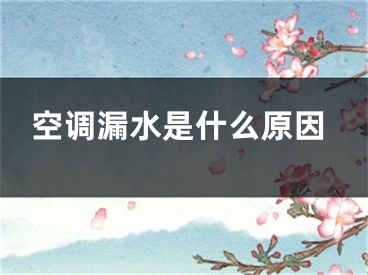 空調漏水是什么原因