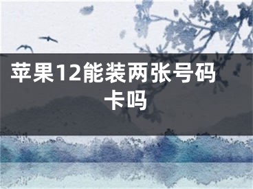 蘋果12能裝兩張?zhí)柎a卡嗎