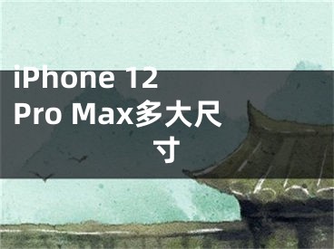 iPhone 12 Pro Max多大尺寸