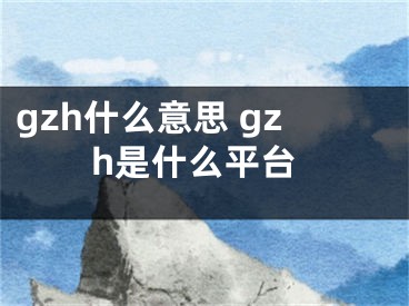 gzh什么意思 gzh是什么平臺