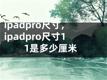 ipadpro尺寸，ipadpro尺寸11是多少厘米