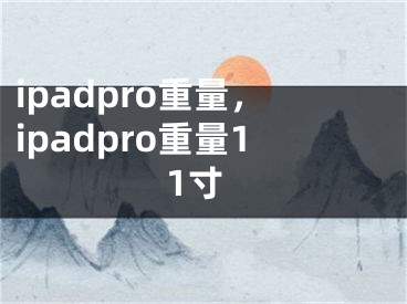 ipadpro重量，ipadpro重量11寸