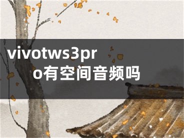 vivotws3pro有空間音頻嗎