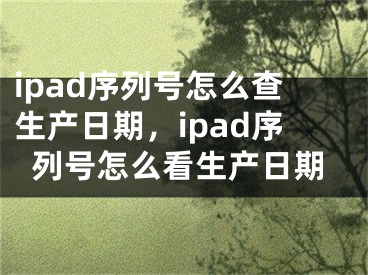 ipad序列號(hào)怎么查生產(chǎn)日期，ipad序列號(hào)怎么看生產(chǎn)日期