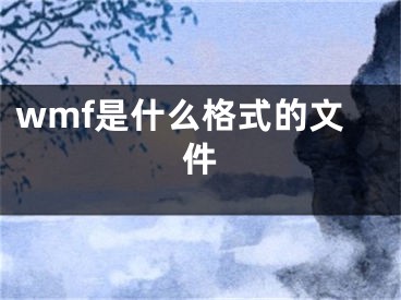 wmf是什么格式的文件