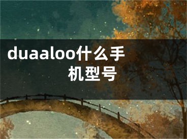 duaaloo什么手機型號