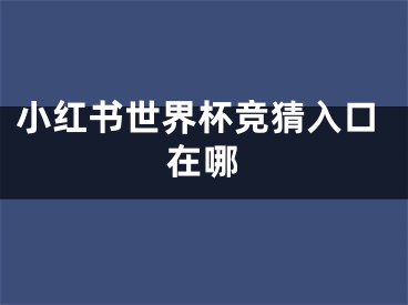 小紅書世界杯競猜入口在哪