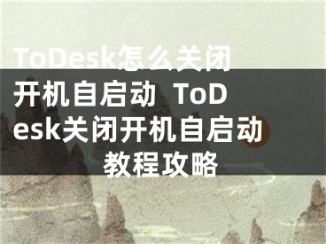 ToDesk怎么關(guān)閉開機(jī)自啟動(dòng)  ToDesk關(guān)閉開機(jī)自啟動(dòng)教程攻略