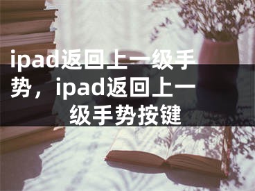 ipad返回上一級(jí)手勢(shì)，ipad返回上一級(jí)手勢(shì)按鍵