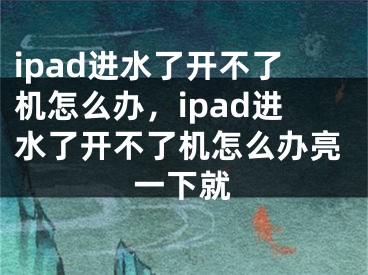 ipad進水了開不了機怎么辦，ipad進水了開不了機怎么辦亮一下就