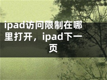 ipad訪問(wèn)限制在哪里打開(kāi)，ipad下一頁(yè)