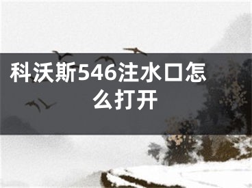 科沃斯546注水口怎么打開