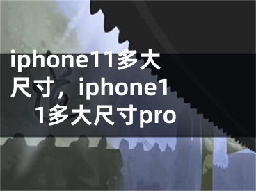 iphone11多大尺寸，iphone11多大尺寸pro