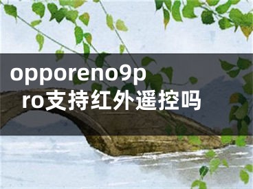 opporeno9pro支持紅外遙控嗎