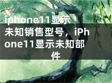 iphone11顯示未知銷售型號，iPhone11顯示未知部件