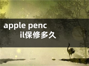 apple pencil保修多久