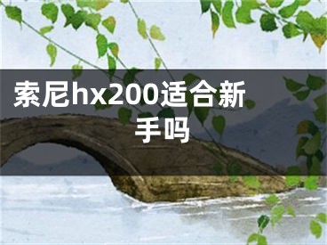 索尼hx200適合新手嗎