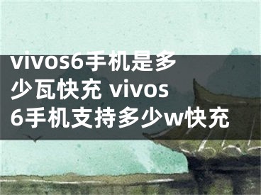 vivos6手機是多少瓦快充 vivos6手機支持多少w快充