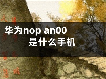 華為nop an00是什么手機(jī)