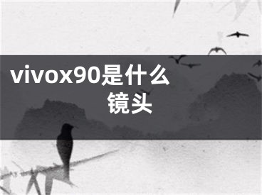 vivox90是什么鏡頭