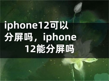 iphone12可以分屏嗎，iphone12能分屏嗎