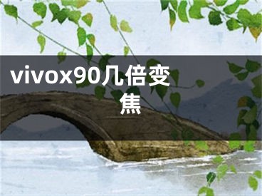 vivox90幾倍變焦