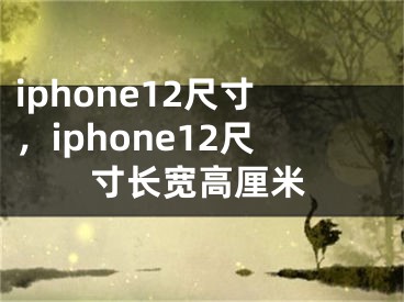 iphone12尺寸，iphone12尺寸長寬高厘米