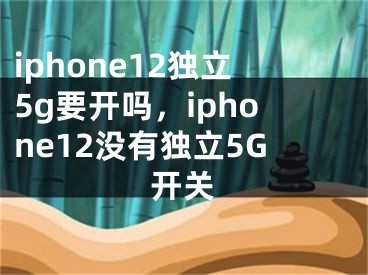 iphone12獨立5g要開嗎，iphone12沒有獨立5G開關