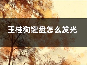 玉桂狗鍵盤怎么發(fā)光