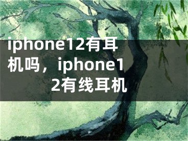 iphone12有耳機嗎，iphone12有線耳機