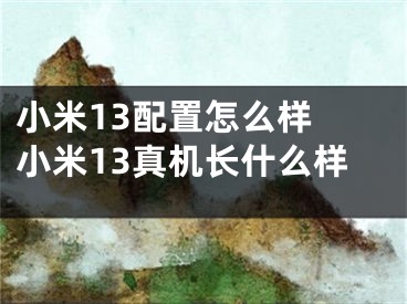 小米13配置怎么樣 小米13真機(jī)長(zhǎng)什么樣