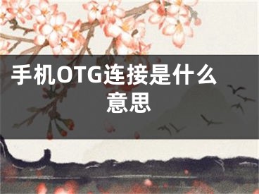 手機(jī)OTG連接是什么意思