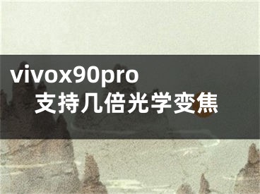 vivox90pro支持幾倍光學(xué)變焦