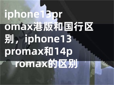 iphone13promax港版和國(guó)行區(qū)別，iphone13promax和14promax的區(qū)別