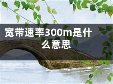 寬帶速率300m是什么意思