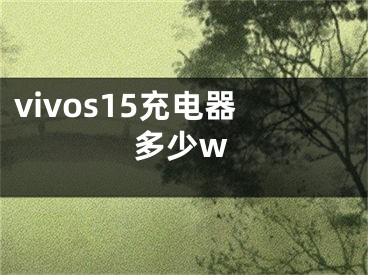 vivos15充電器多少w