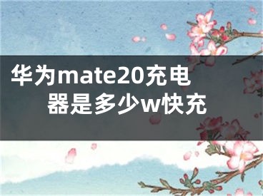 華為mate20充電器是多少w快充