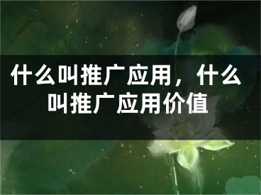 什么叫推廣應用，什么叫推廣應用價值