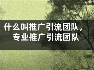 什么叫推廣引流團(tuán)隊，專業(yè)推廣引流團(tuán)隊